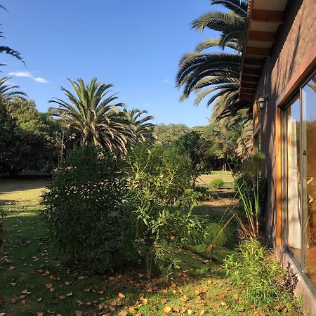 Cabanas En La Naturaleza A Pasos De La Playa La Serena Quarto foto